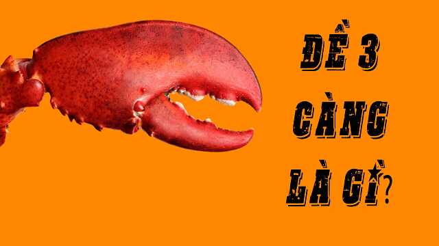 Tìm hiểu đề 3 càng